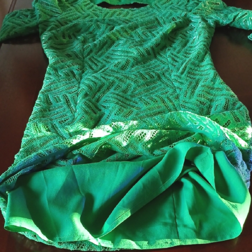 Lilly Pulitzer Fern Green Camellia Dress - Picture 3 of 6